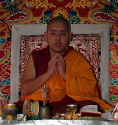 Ling Rinpoche hiện tại