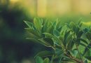 Cái tôi càng lớn mạnh thì con người càng khó kiềm chế bản thân! Cái tôi càng lớn mạnh thì con người càng khó kiềm chế bản thân!