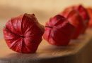 Góp Nhặt Những Bông Hoa Tư Tưởng Góp Nhặt Những Bông Hoa Tư Tưởng