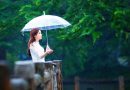 Ba điềm lành tối thượng bạn không thể bỏ qua chứng tỏ cuộc sống an lành Điềm lành tối thượng chay mộc