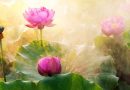 Hại người là hại mình, thế nhân mấy ai thấu triệt điều này Hại người là hại mình chay mộc